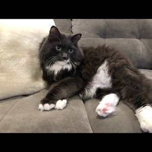 Meet your Posher, Judi